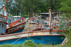 30043890bp.jpg 30043890bp.jpg