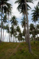 30043883qf.jpg 30043883qf.jpg