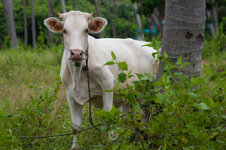 30043889ui.jpg 30043889ui.jpg