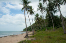 30043882ob.jpg 30043882ob.jpg