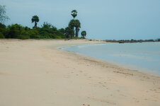 30043913fu.jpg 30043913fu.jpg