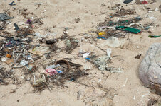 30043918ta.jpg 30043918ta.jpg