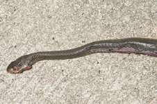 30044666qn.jpg 30044666qn.jpg