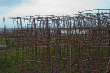 30043933yr.jpg 30043933yr.jpg