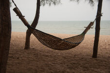 30043938su.jpg 30043938su.jpg