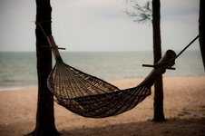 30043939fd.jpg 30043939fd.jpg