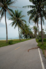 30043923ax.jpg 30043923ax.jpg