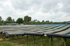 30043927mr.jpg 30043927mr.jpg