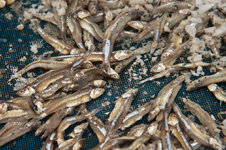 30044712tr.jpg 30044712tr.jpg