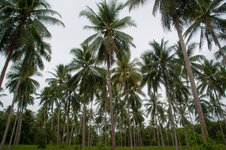 30043944lb.jpg 30043944lb.jpg