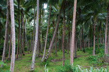 30043946wn.jpg 30043946wn.jpg