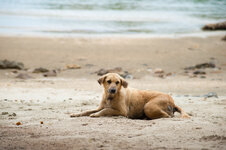 30043931hx.jpg 30043931hx.jpg