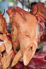 30043960zu.jpg 30043960zu.jpg