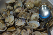 30047753tr.jpg 30047753tr.jpg