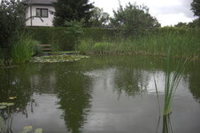 CIMG0629.JPG CIMG0629.JPG