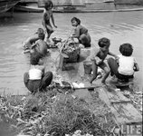 bkk klong 1950.jpg