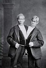 simese twins chang and eng 1854.jpg