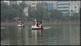 DSC00769.jpg