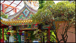 DSC01045.jpg