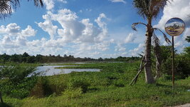 20170604_160513.jpg