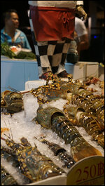 DSC01768.jpg