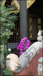 DSC01988.jpg