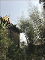 DSC02021-1.jpg