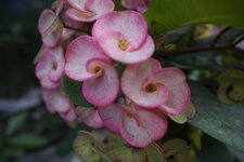 D5111512-4AD7-4473-9998-AED9C63CD260.jpeg