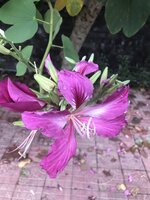 D37E79E2-CE77-4917-8605-935945D5091A.jpeg