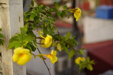 971C596A-B5C7-4C21-8A27-BE2A6D53B8C0.jpeg