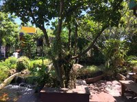 55D59541-A601-4F5C-B39F-C992AC70D940.jpeg