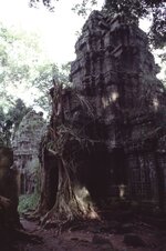 Cambodia1994005-s.jpg