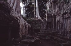 Cambodia1994009-s.jpg