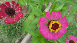 20171117_142539.jpg