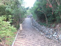 DSCF6762.JPG
