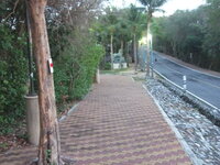 DSCF6768.JPG