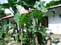 haus_aussen_014qwsxa.jpg haus_aussen_014qwsxa.jpg