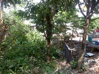 haus_aussen_0160zsqw.jpg haus_aussen_0160zsqw.jpg