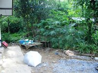 haus_aussen_019aws5c.jpg haus_aussen_019aws5c.jpg