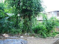 haus_aussen_020ess6t.jpg haus_aussen_020ess6t.jpg