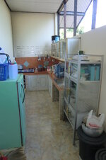 thailand_2010_04_0421fzoan.jpg thailand_2010_04_0421fzoan.jpg