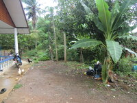 cimg4341vhuj1.jpg cimg4341vhuj1.jpg