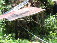 cimg4352zourq.jpg cimg4352zourq.jpg