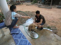 cimg18763yko5.jpg cimg18763yko5.jpg