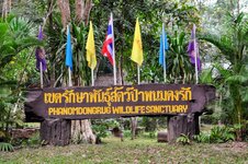 DSC_0525.JPG