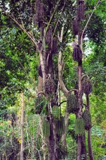 DSC_0532.JPG