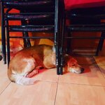 IMG_20171216_032133_533.jpg