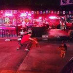 IMG_20171219_034611_128.jpg