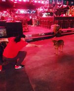 IMG_20171219_034642_148.jpg