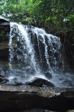 DSC_0534.JPG